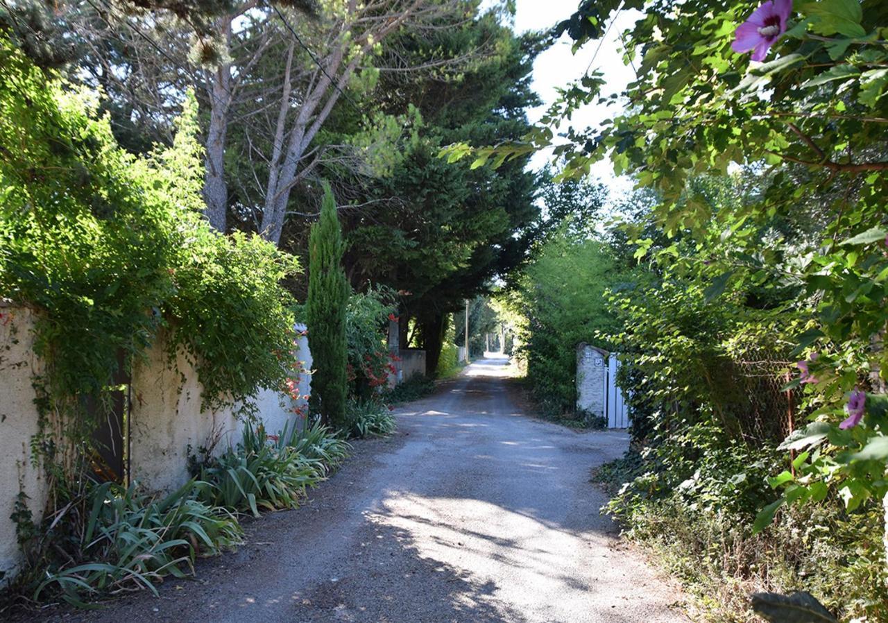 La Maison Des Invites Pernes-les-Fontaines Kültér fotó