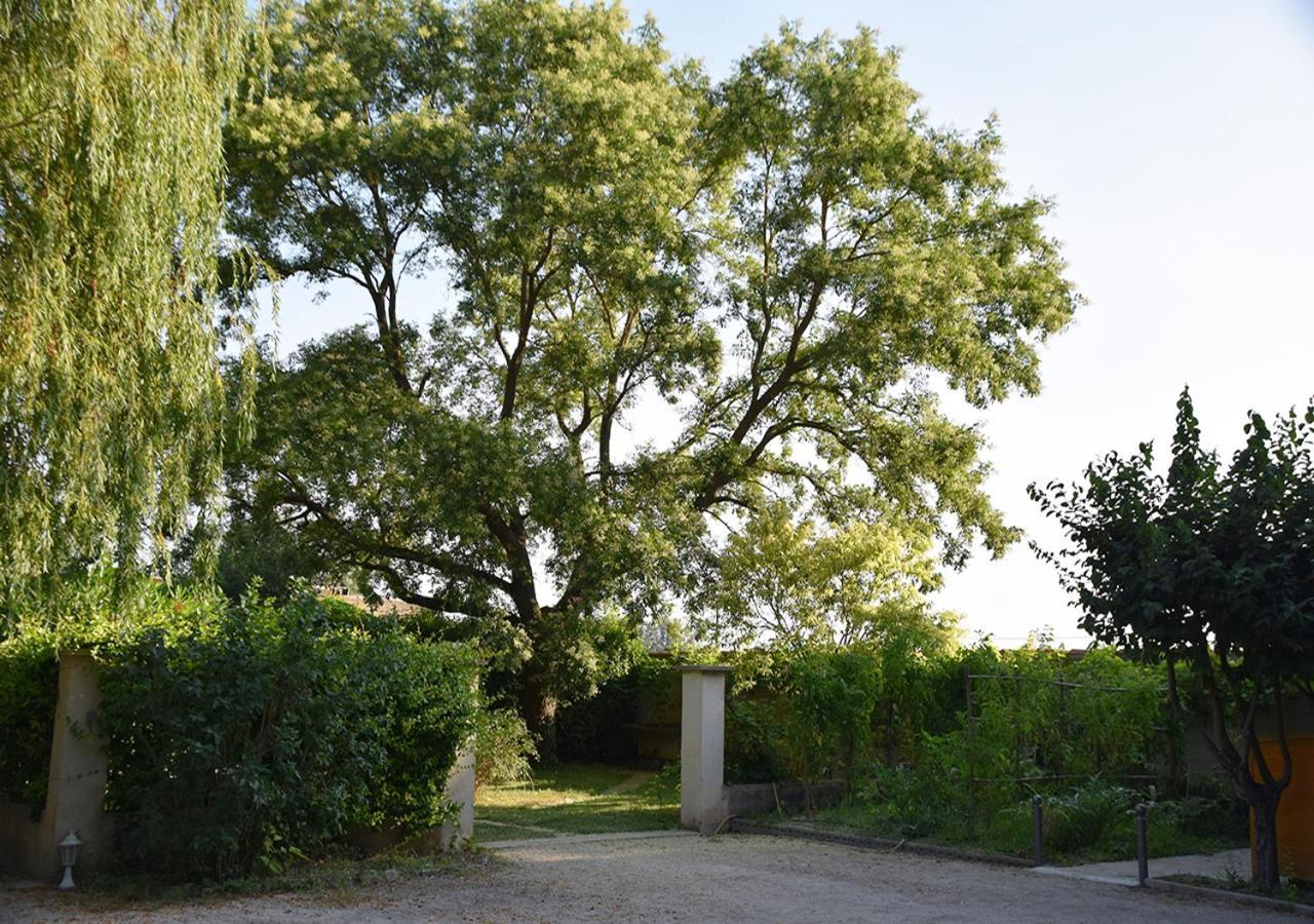 La Maison Des Invites Pernes-les-Fontaines Kültér fotó